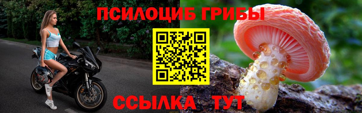 Галлюциногенные грибы MAGIC MUSHROOMS Улан-Удэ