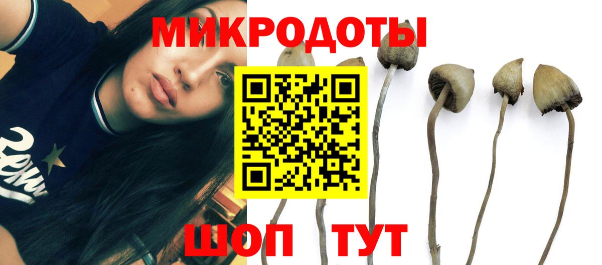 Галлюциногенные грибы Magic Shrooms  купить закладку  Улан-Удэ  Вход с VPN 